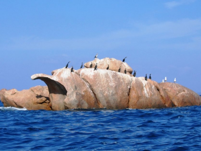  Paesaggi della Corsica 